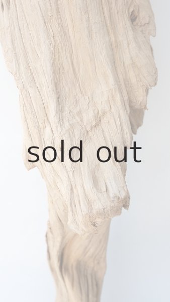 画像4: 大型　変形 (4)