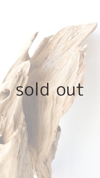 画像11: 大型　変形 (11)