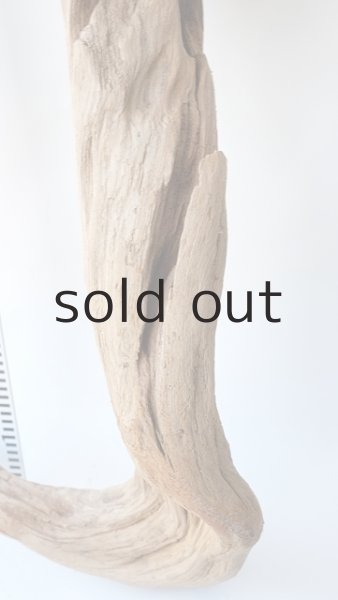 画像9: 大型　変形 (9)