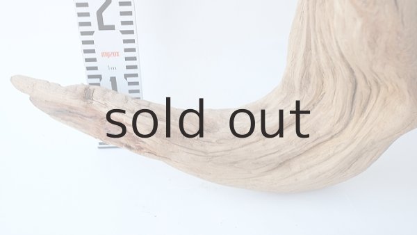 画像8: 大型　変形 (8)