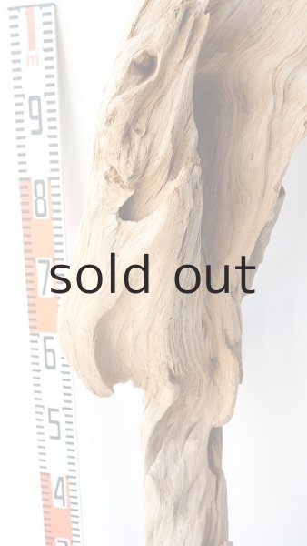 画像10: 大型　変形 (10)