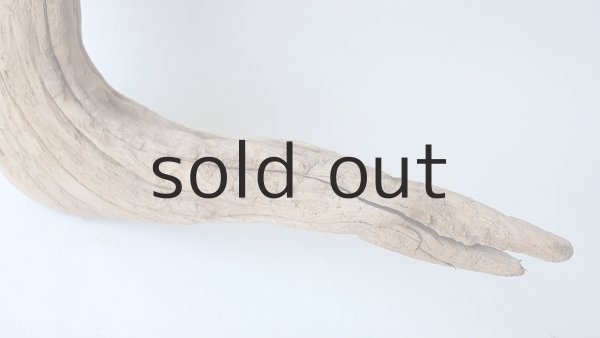 画像2: 大型　変形 (2)