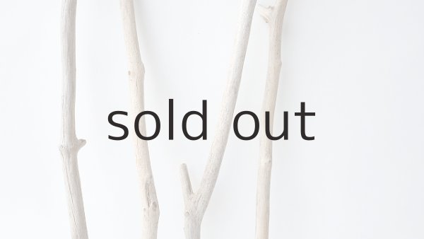 画像3: 枝流木セット (3)