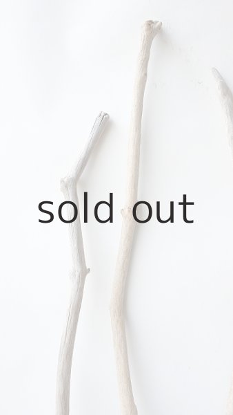 画像4: 枝流木セット (4)