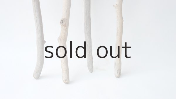 画像2: 枝流木セット (2)