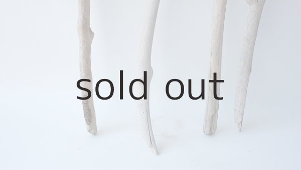 画像2: 枝流木セット (2)