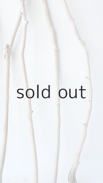 画像6: 枝流木セット (6)