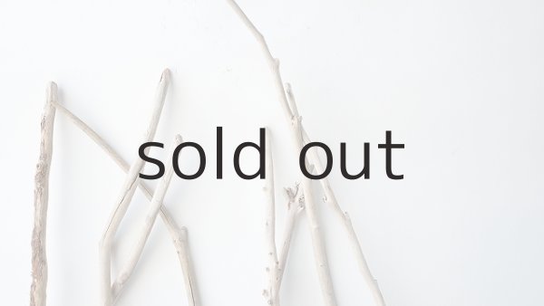 画像4: 枝流木セット (4)