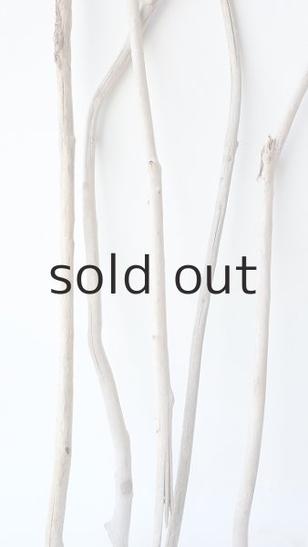 画像5: 枝流木セット (5)