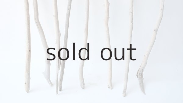 画像2: 枝流木セット (2)