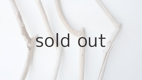 画像3: 枝流木セット (3)