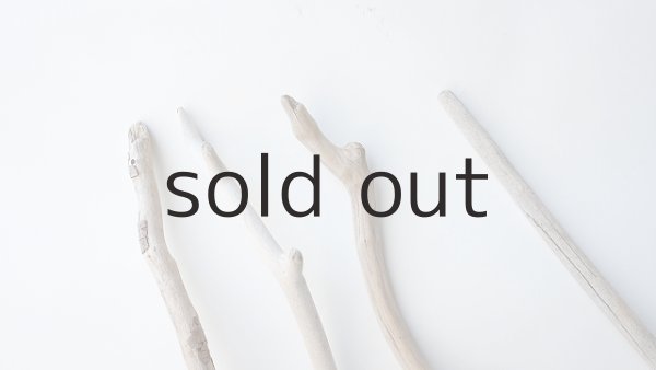 画像4: 枝流木セット (4)