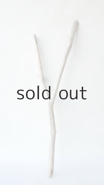 画像1: 小枝流木 (1)