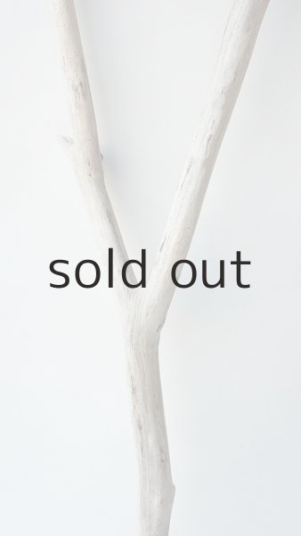 画像3: 小枝流木 (3)