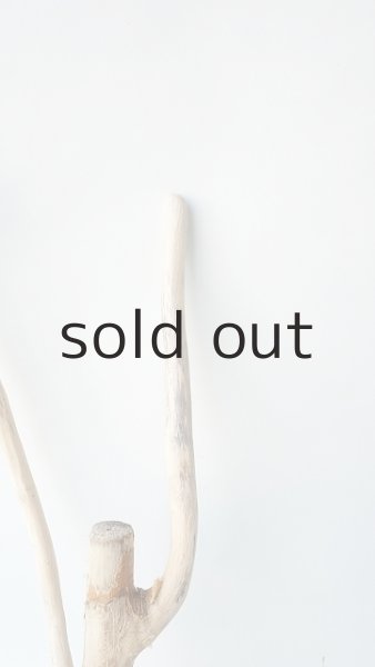 画像3: 小枝流木 (3)