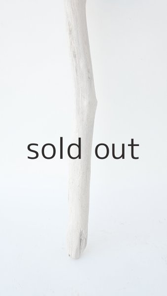 画像2: 小枝流木 (2)