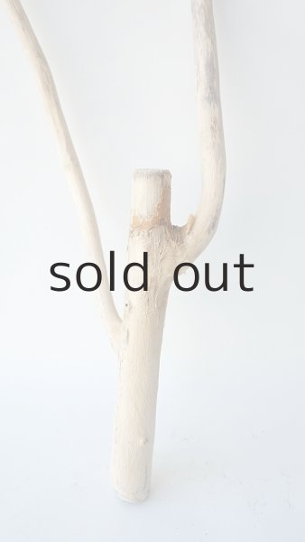 画像2: 小枝流木 (2)