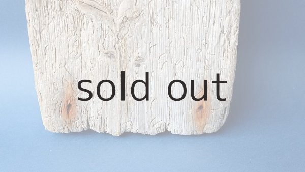 画像2: 板流木 (2)