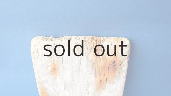 画像4: 板流木 (4)