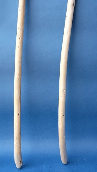 画像2: 棒流木セット (2)