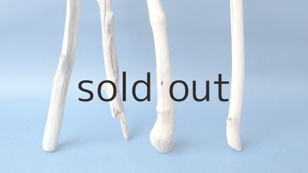 画像2: 枝流木セット (2)