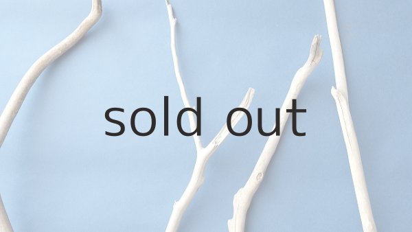 画像4: 枝流木セット (4)