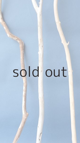 画像3: 枝流木セット (3)