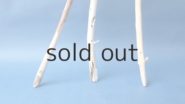 画像2: 枝流木セット (2)