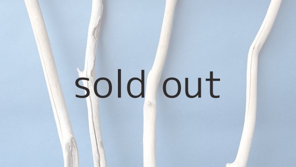 画像3: 枝流木セット (3)