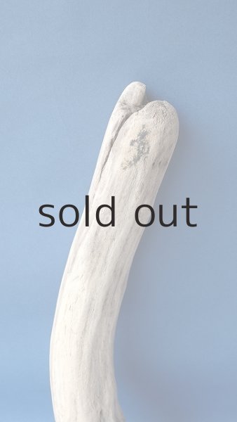 画像3: 幹流木 (3)