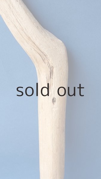 画像3: 幹流木 (3)