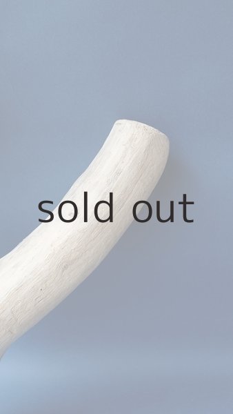 画像3: 幹流木 (3)