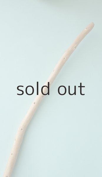 画像4: 棒流木 (4)