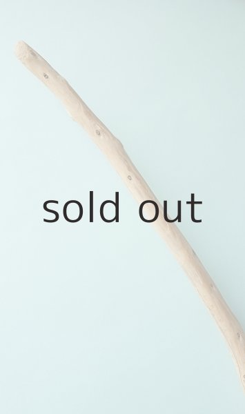 画像5: 棒流木 (5)