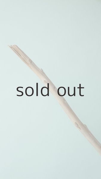 画像5: 棒流木 (5)