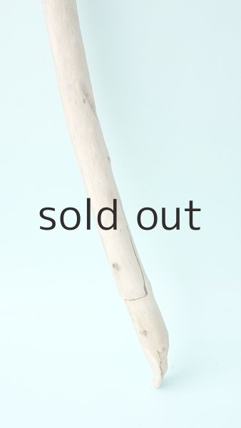 画像2: 棒流木 (2)