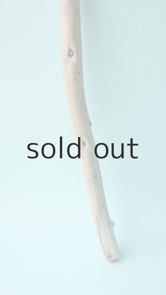 画像2: 棒流木 (2)