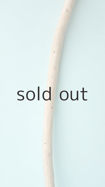 画像3: 棒流木 (3)