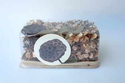 画像3: Dry plants for decor ドライプランツアソート（PPケース入）