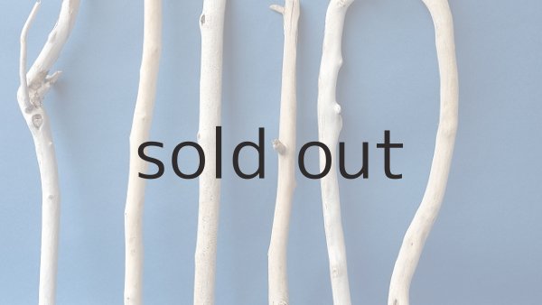 画像3: 小枝流木セット (3)