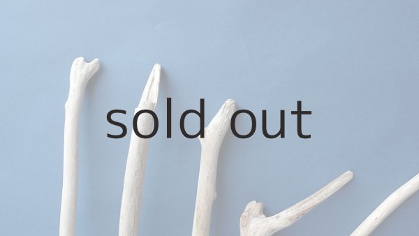 画像4: 小枝流木セット (4)