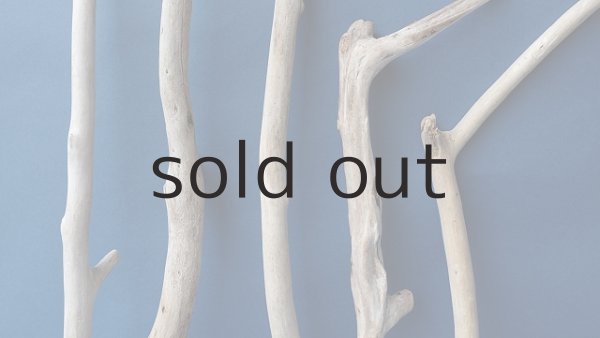 画像3: 小枝流木セット (3)