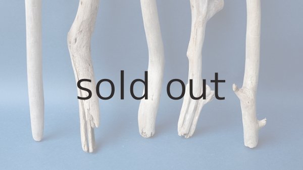 画像2: 小枝流木セット (2)