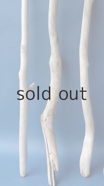 画像5: 小枝流木セット (5)