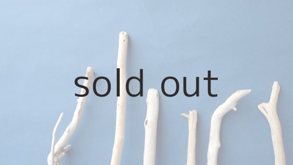 画像4: 小枝流木セット (4)