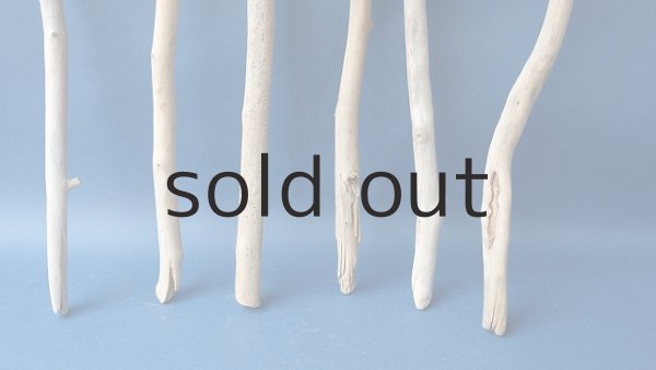 画像2: 小枝流木セット (2)