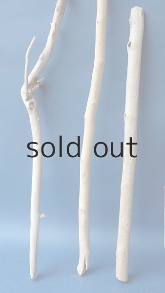 画像5: 小枝流木セット (5)