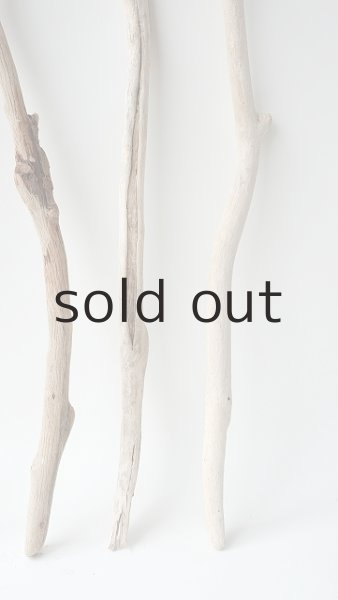 画像6: 小枝流木セット (6)