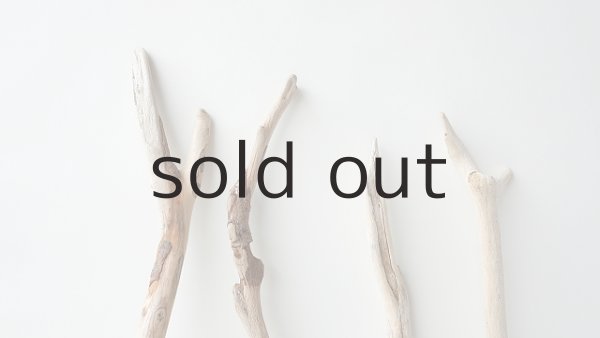 画像4: 小枝流木セット (4)