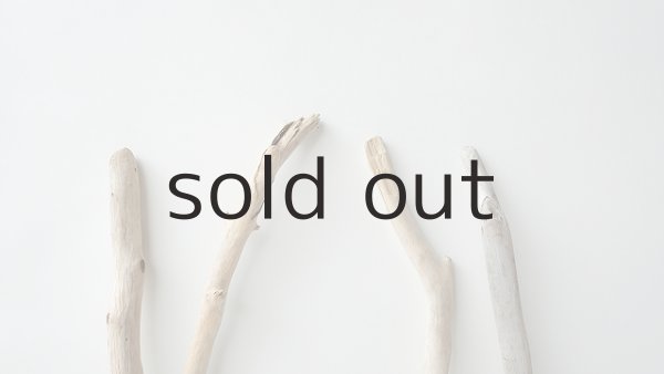 画像4: 小枝流木セット (4)